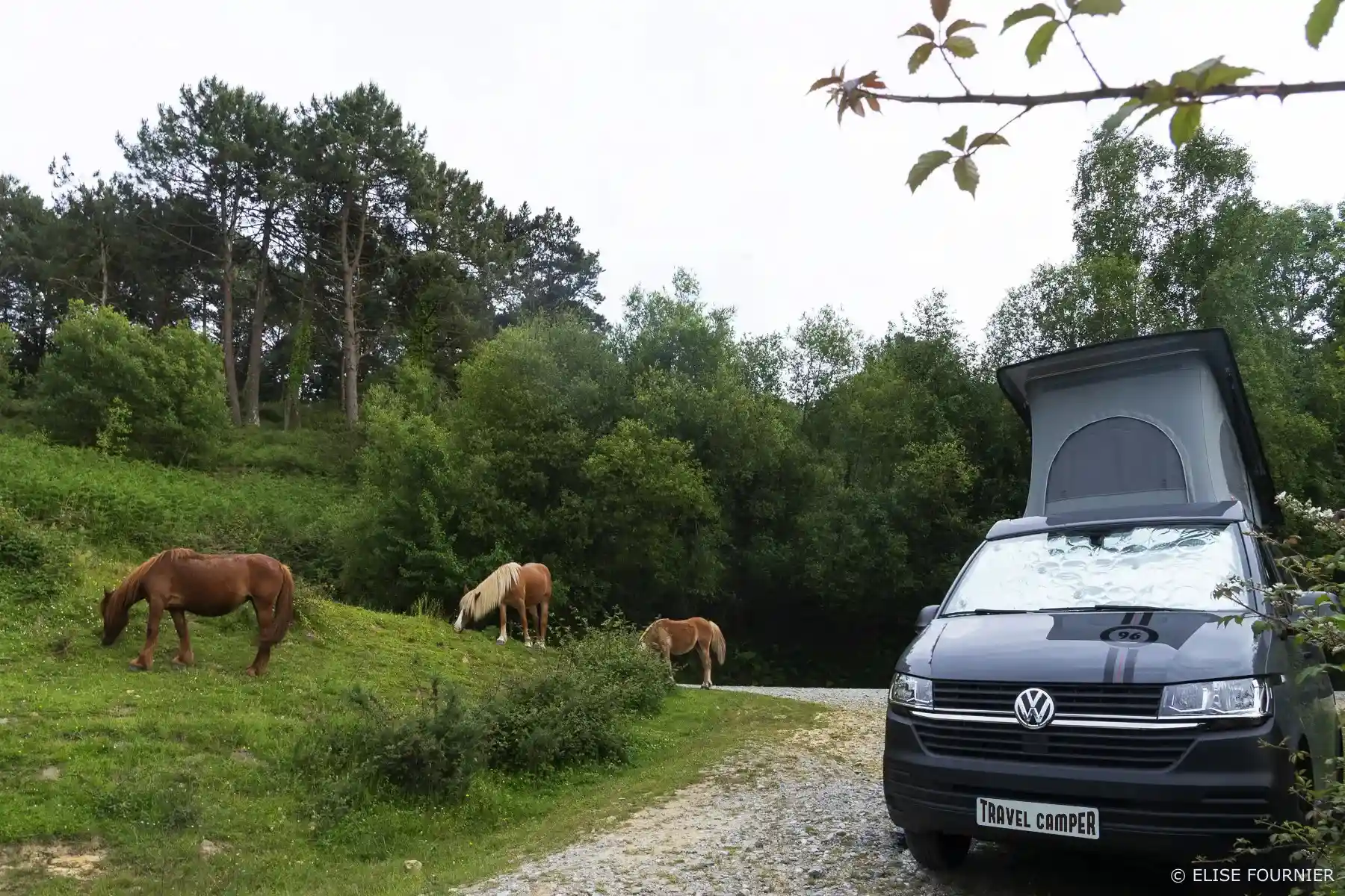 elise-fournier-travel-camper-2023-SansPlaque
